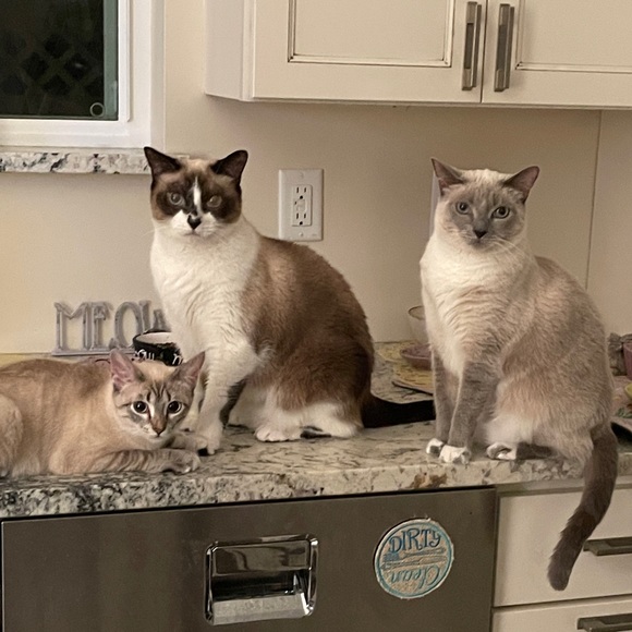 Almost There! ๐๐ Like, Tag, Follow, Share ๐ - Picture 6 of 6